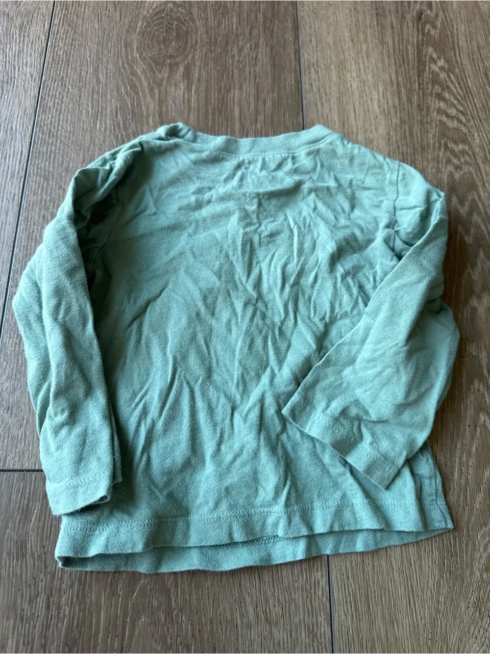 GAP Soft Sage Long-Sleeve Dino Applique Tee